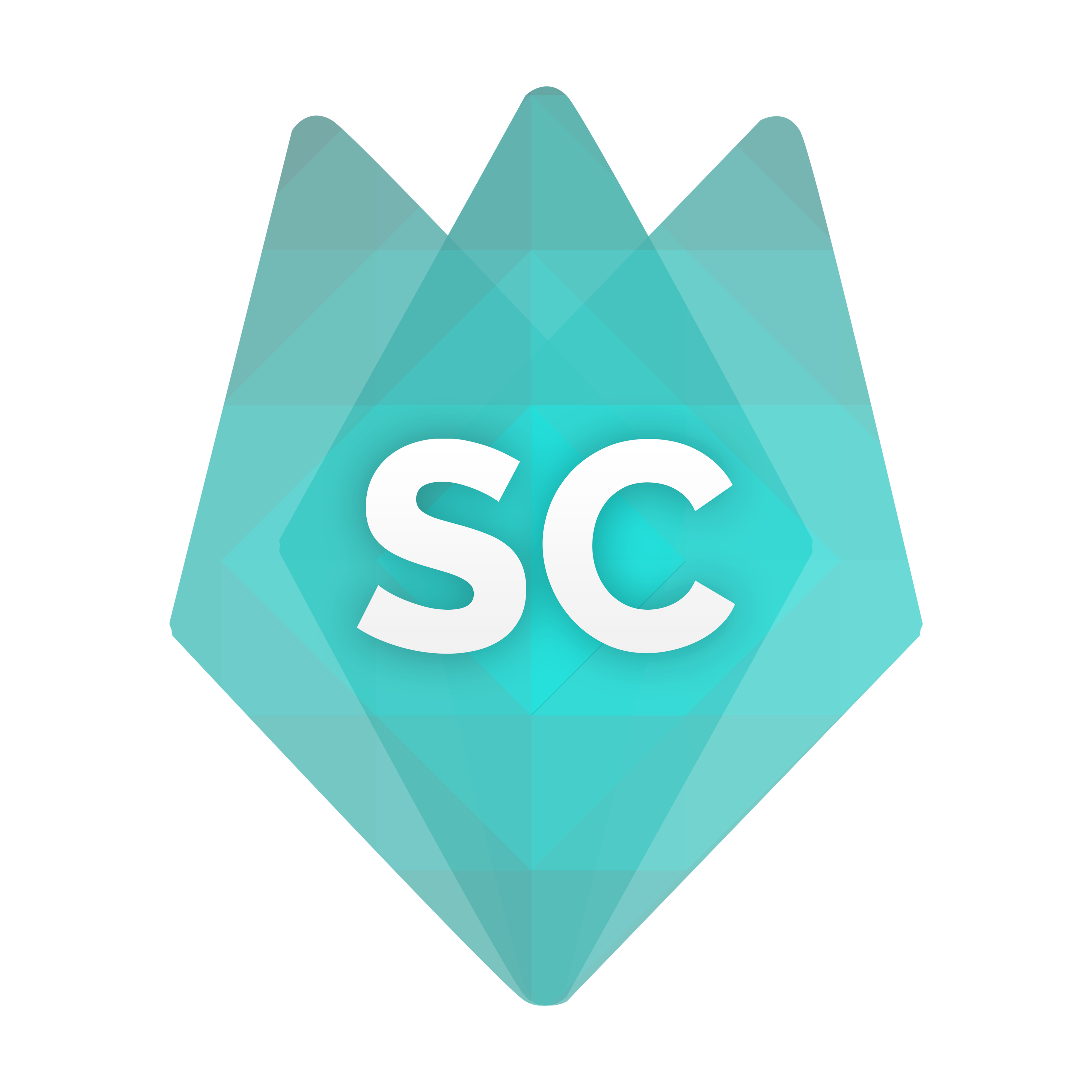 StanComp logo